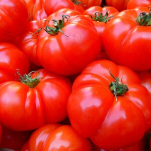 pomidor malinowy