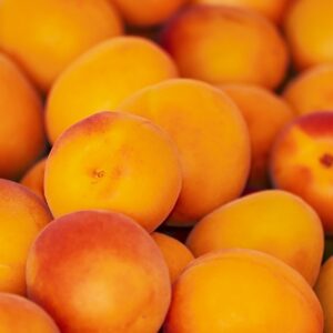 apricots-3433818_1280