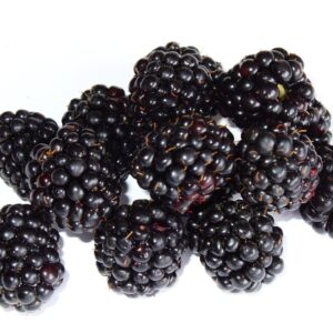 blackberry-g9fe2652f4_1920